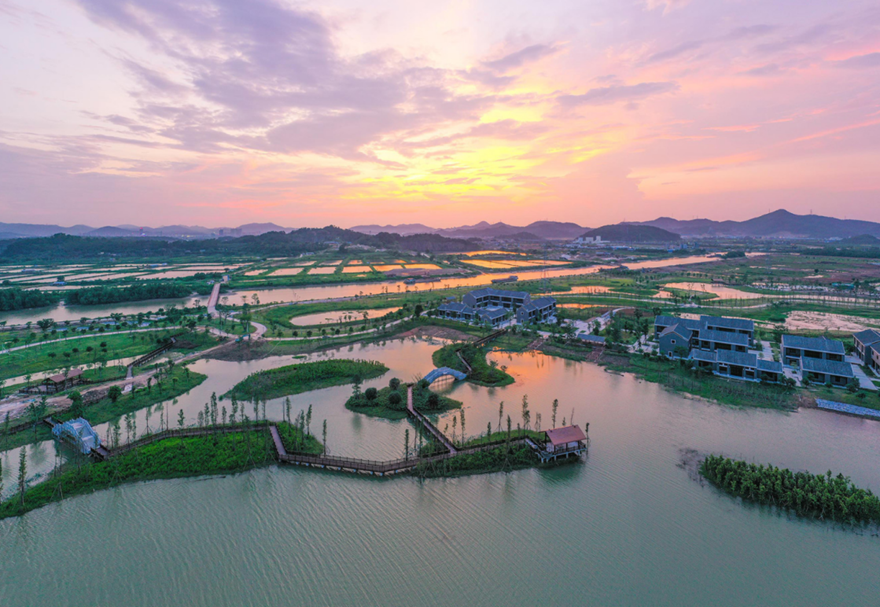 高水平的城市規(guī)劃建設(shè)水平。對標(biāo)最高最優(yōu)最好城市規(guī)劃，推進(jìn)城市綜合管廊、道路橋梁等基礎(chǔ)設(shè)施建設(shè)，城市功能不斷完善，城市景觀不斷美化，促進(jìn)城市集約高效和轉(zhuǎn)型發(fā)展，打造經(jīng)濟(jì)發(fā)展新動力。圖為翠亨國家濕地公園。