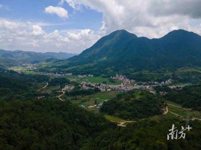 羅定市龍灣鎮(zhèn)萬畝南藥種植示范基地。  