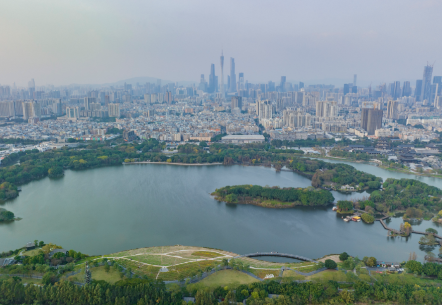 5月22日是國際生物多樣性日。濕地具有涵養(yǎng)水源、調(diào)節(jié)氣候、維持碳循環(huán)等極為重要的生態(tài)功能，是生物多樣性的重要發(fā)源地之一。粵港澳大灣區(qū)擁有多個濕地公園，優(yōu)質(zhì)的生態(tài)環(huán)境為各種生物提供了生存繁衍空間，對維護(hù)生物多樣性起到積極意義。廣州海珠國家濕地公園是全國特大城市中心區(qū)域面積最大的濕地公園，目前濕地率達(dá)79.4%，鳥類種類從72種增加到187種，昆蟲種類從66種增加值738種，魚類從36種增加到64種。圖為廣州海珠濕地公園。