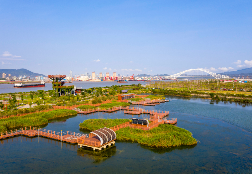 遠(yuǎn)眺芒洲濕地公園，滿眼翠綠，公園四周環(huán)繞一圈花草樹木，中間是水塘和綠洲，一些綠洲之間連接著紅色的棧道和浮橋，不遠(yuǎn)處的洪鶴大橋橫空而過。水塘邊生長著眾多紅樹林植物和大片的蘆葦，許多鳥類在此棲息、繁衍，這是橫琴鳥類的“天堂。圖為珠海橫琴芒洲濕地公園。