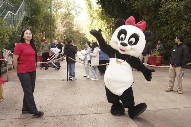 △今年2月4日，在美國(guó)加州圣迭戈動(dòng)物園，一名裝扮成熊貓的工作人員在春節(jié)慶?；顒?dòng)上歡迎游客。